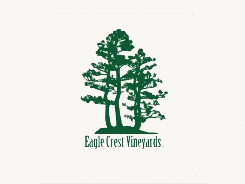 Eagle Crest vineyard rows in summer, Conesus NY